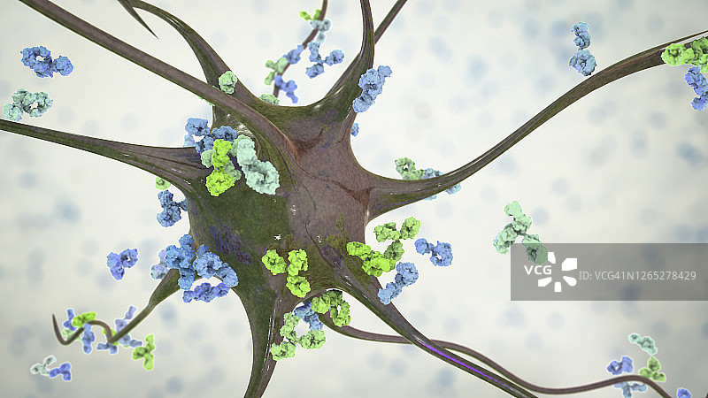 抗体攻击神经元概念图图片素材