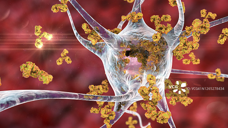 抗体攻击神经元概念图图片素材