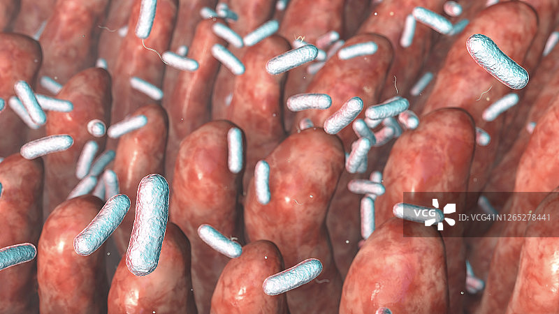 肠绒毛和细菌插图图片素材