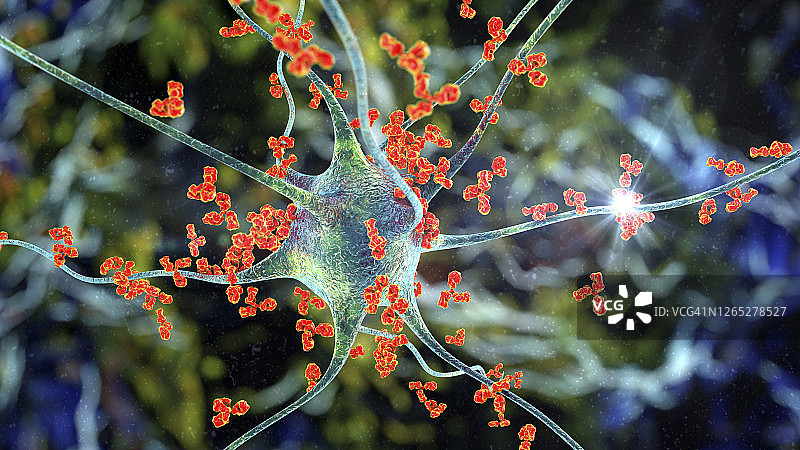 抗体攻击神经元概念图图片素材