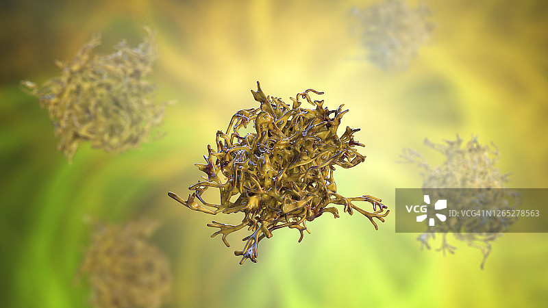 变形虫插画图片素材