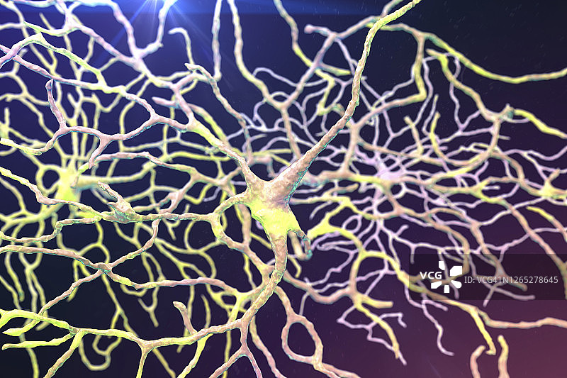 视网膜神经元艺术图图片素材