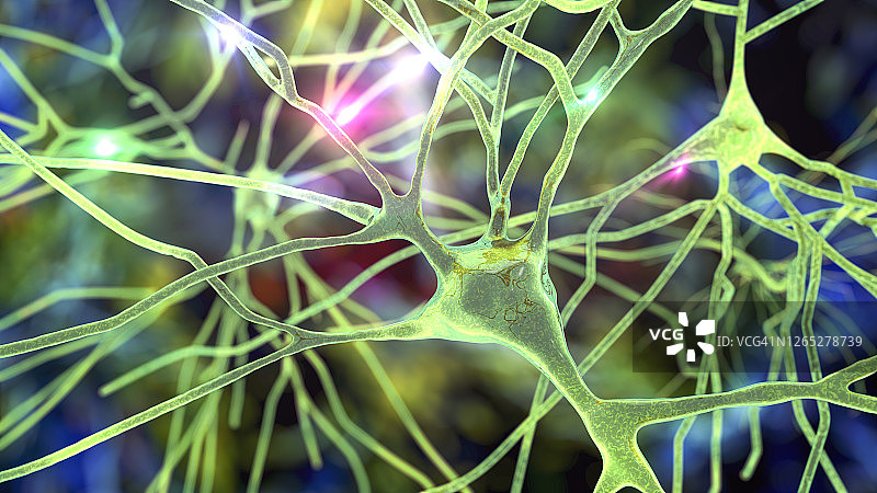 人脑神经细胞图图片素材