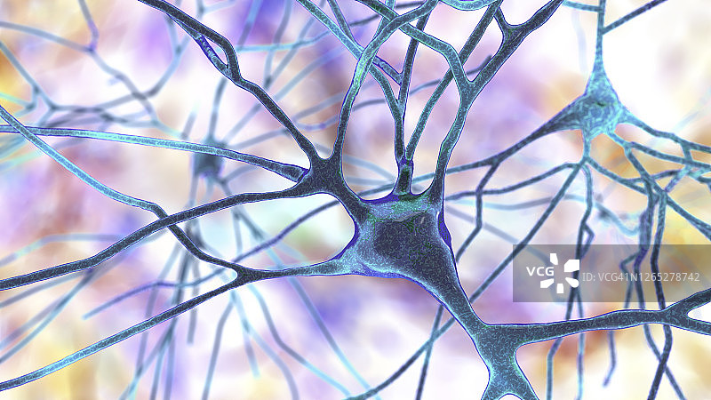 人脑神经细胞图图片素材