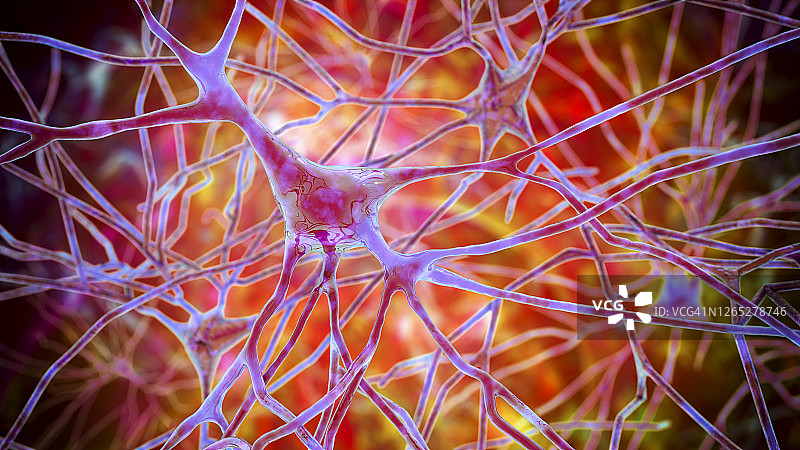 人脑神经细胞图图片素材