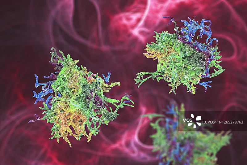 变形虫插画图片素材