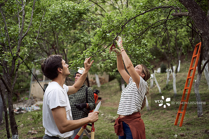 年轻家庭与一位年长的男人一起修剪果园图片素材