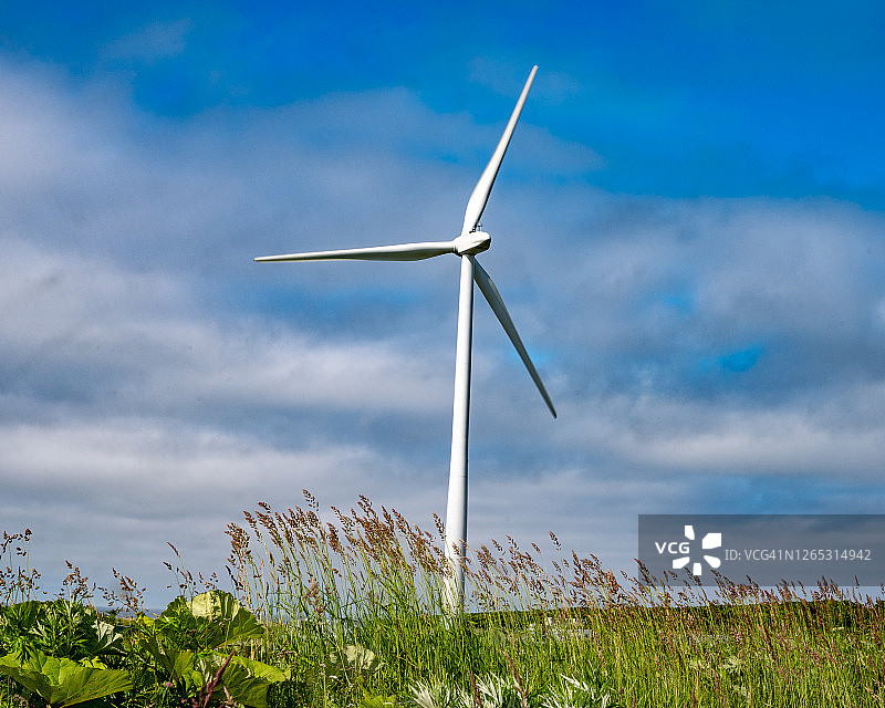 单机风力涡轮机图片素材