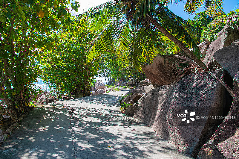 塞舌尔拉迪格岛热带树林公路图片素材