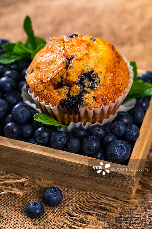 蓝莓玛芬蛋糕和蓝莓特写图片素材