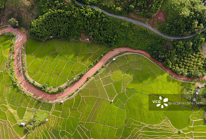 东南亚稻田航拍景观图片素材