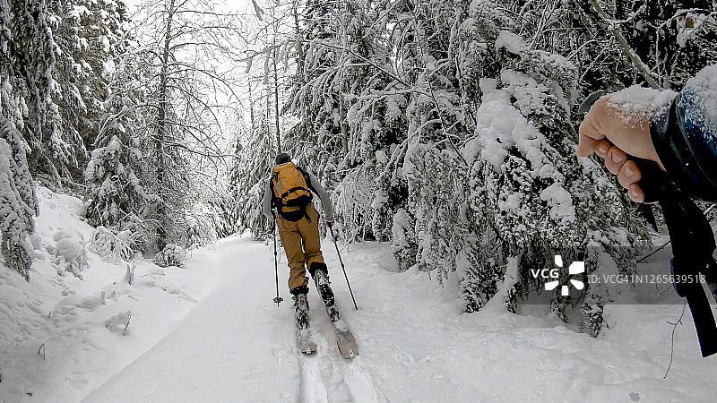 年轻男子在新鲜降雪的森林中越野滑雪的滑雪杖视角图片素材