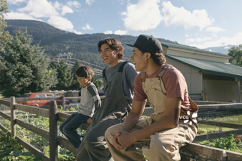 在农场放松的三兄弟图片素材