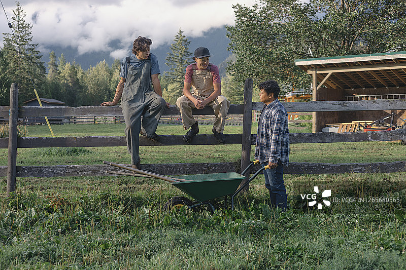 农民和两个儿子交谈图片素材