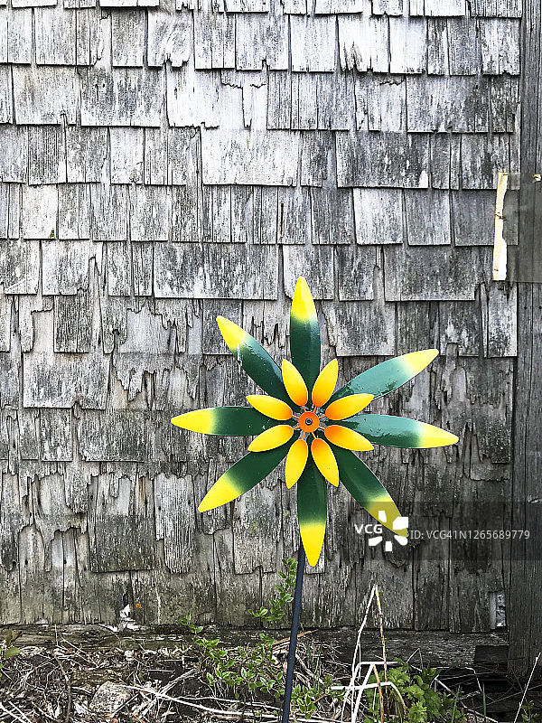 花园里的风车图片素材