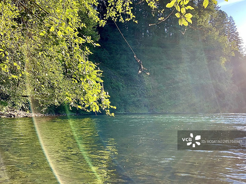 夏日荡绳图片素材