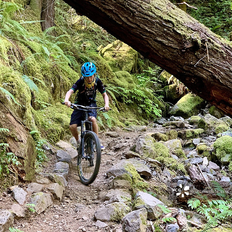 在倒下的大树下骑行图片素材