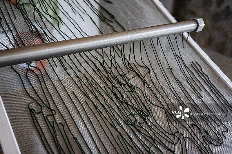 螺旋藻图片素材