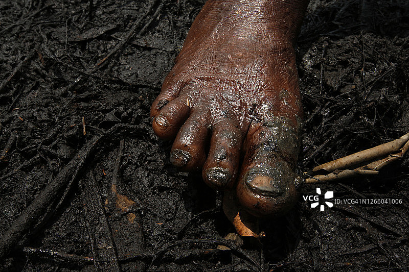 尼日尔三角洲石油污染图片素材