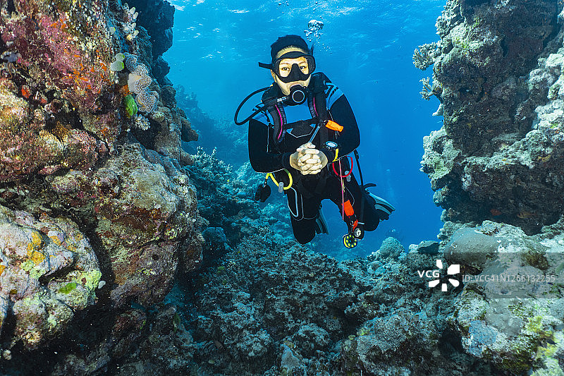 潜水员探索大堡礁图片素材