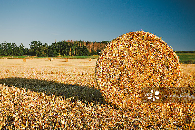日落时田野里的麦秸捆图片素材