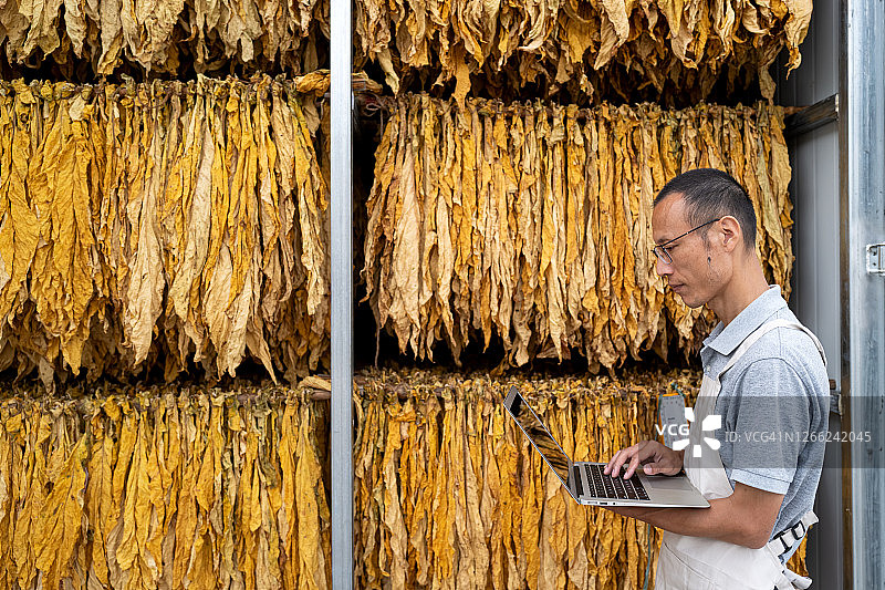 男技术员在烟草烤炉前使用笔记本电脑图片素材