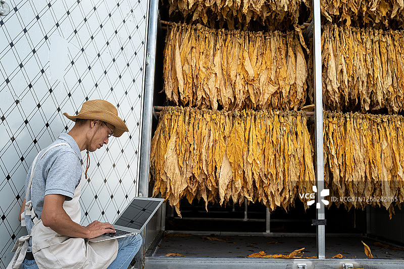 男人在烟叶干燥设备前用电脑工作图片素材