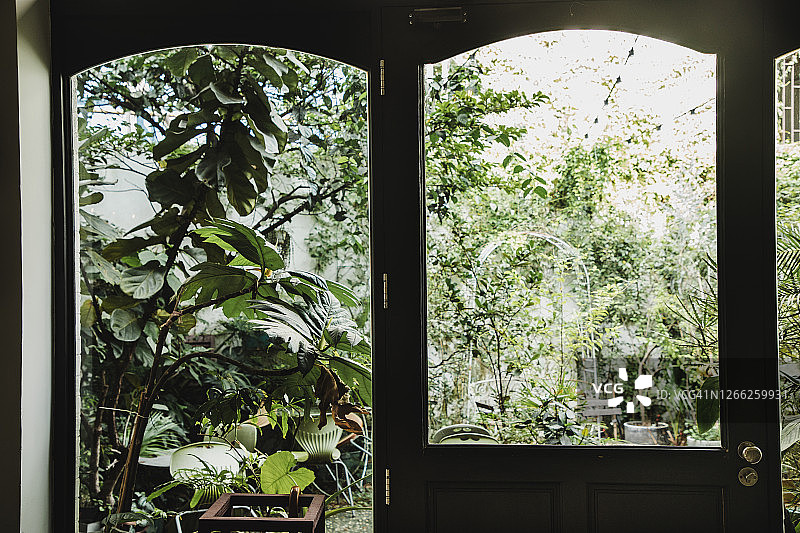 透过窗户看到的前院花园一瞥图片素材