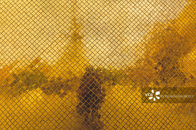 泰国曼谷玉佛寺宝塔上的黄金特写图片素材