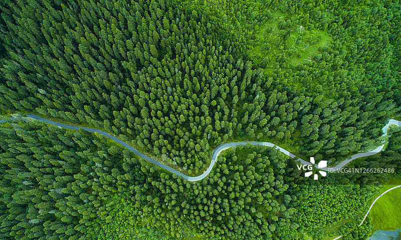 森林中央公路鸟瞰图图片素材
