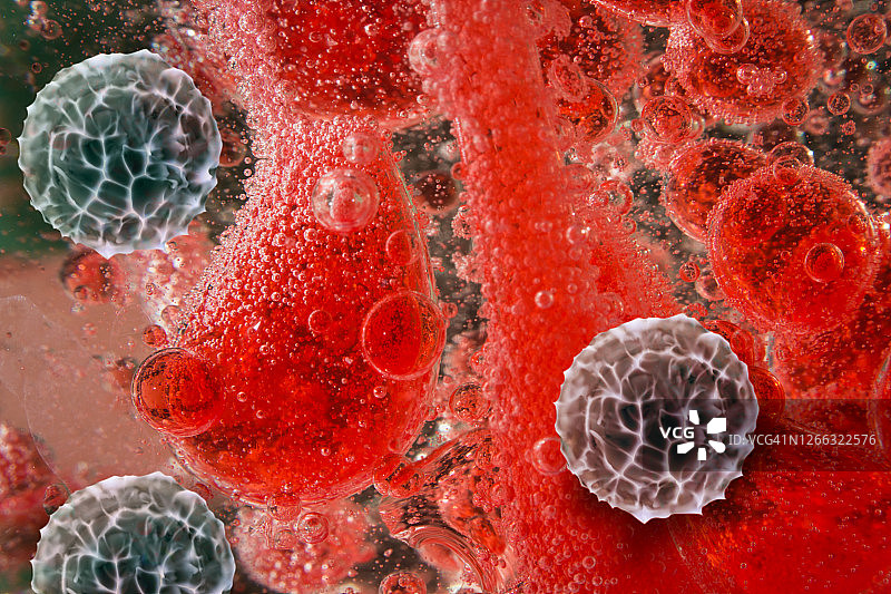 红白血细胞图片素材