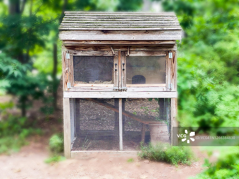 户外木制兔笼图片素材