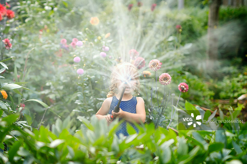 快乐的幼儿在夏日用软管浇灌花园图片素材