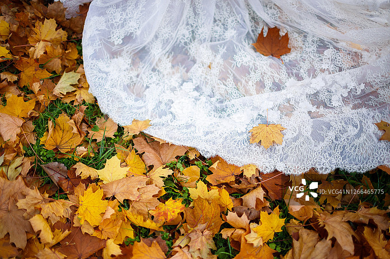 秋季黄叶上的婚纱图片素材