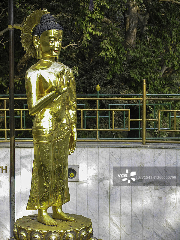 猴庙里的金色佛像图片素材