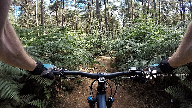 穿越森林骑山地自行车图片素材