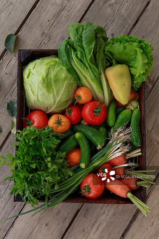 生物食品：花园农产品和收获的蔬菜，木箱中的新鲜农场蔬菜：胡萝卜、甜菜、西红柿、黄瓜、卷心菜、欧芹、沙拉图片素材