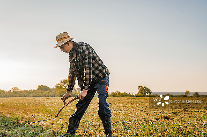 乡村男子在夏季草地上用传统镰刀割草图片素材