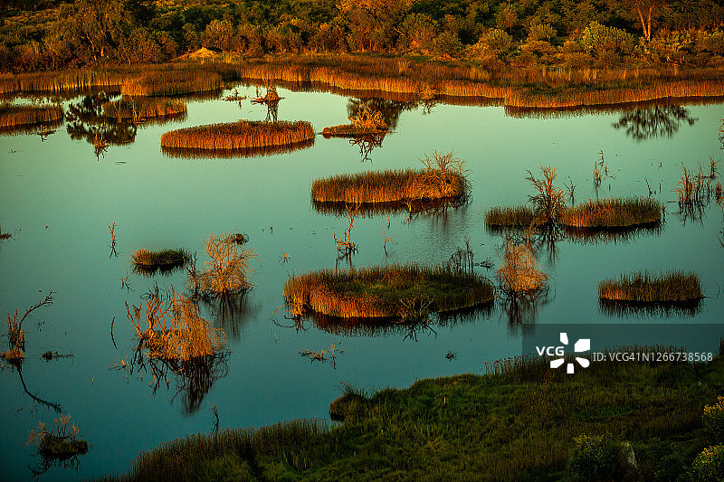 博茨瓦纳奥卡万戈三角洲的细节场景图片素材