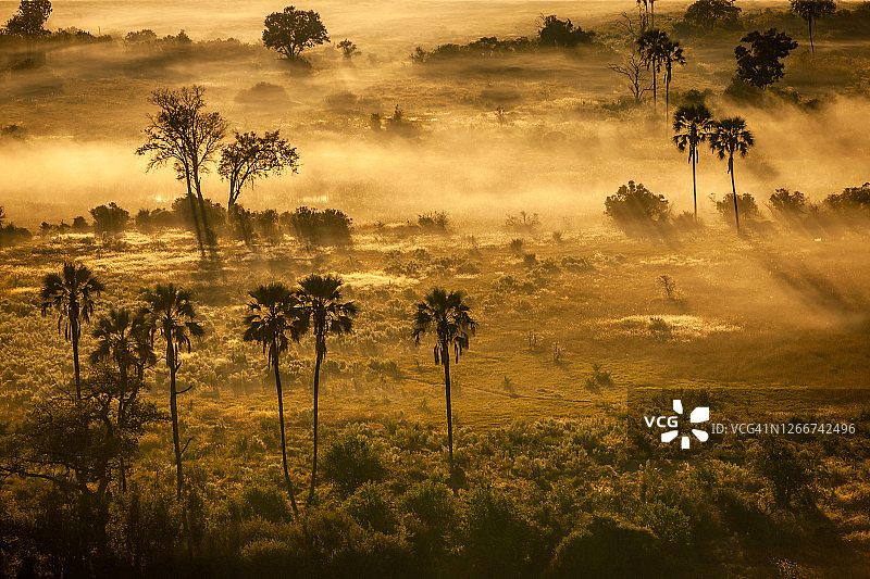 博茨瓦纳奥卡万戈三角洲的薄雾树区航拍景色图片素材