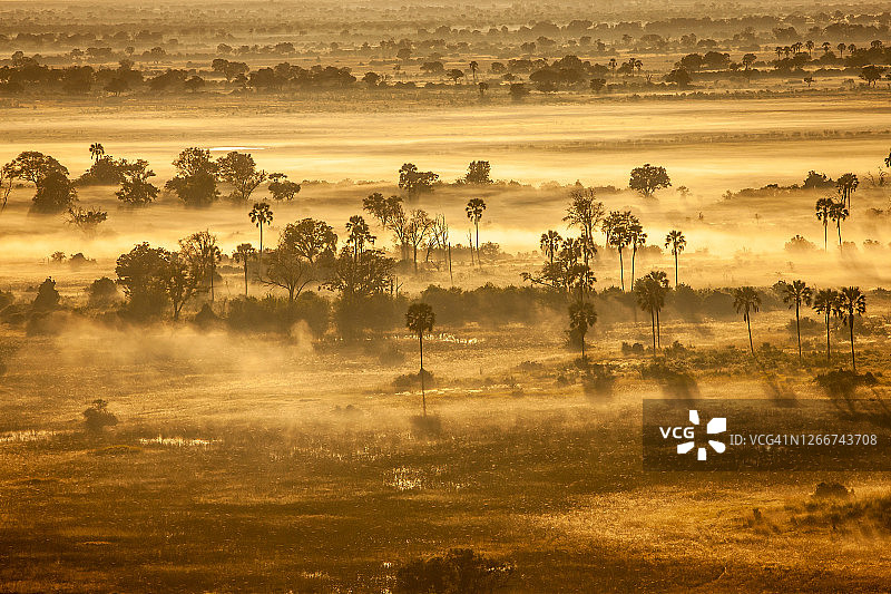 博茨瓦纳奥卡万戈三角洲树木区域的雾景航拍图片素材
