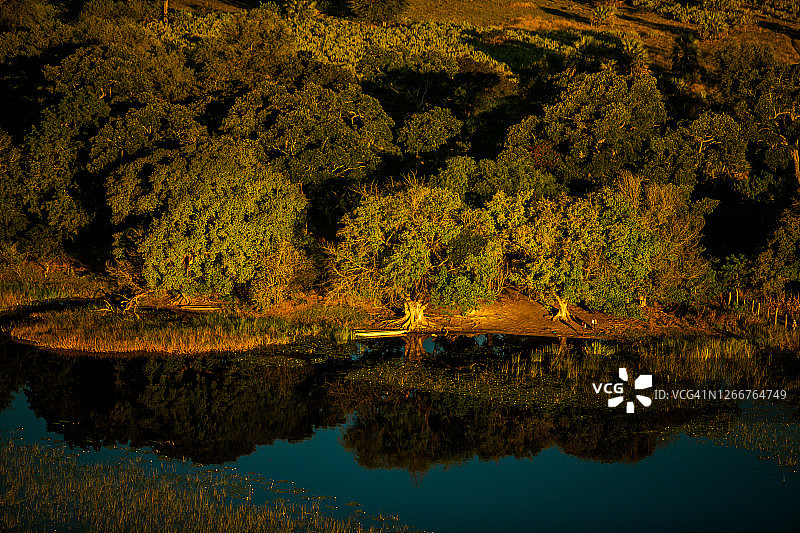 博茨瓦纳奥卡万戈三角洲海滨树木的鸟瞰图图片素材