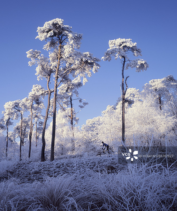 田园诗般的冬季景观中的越野自行车图片素材