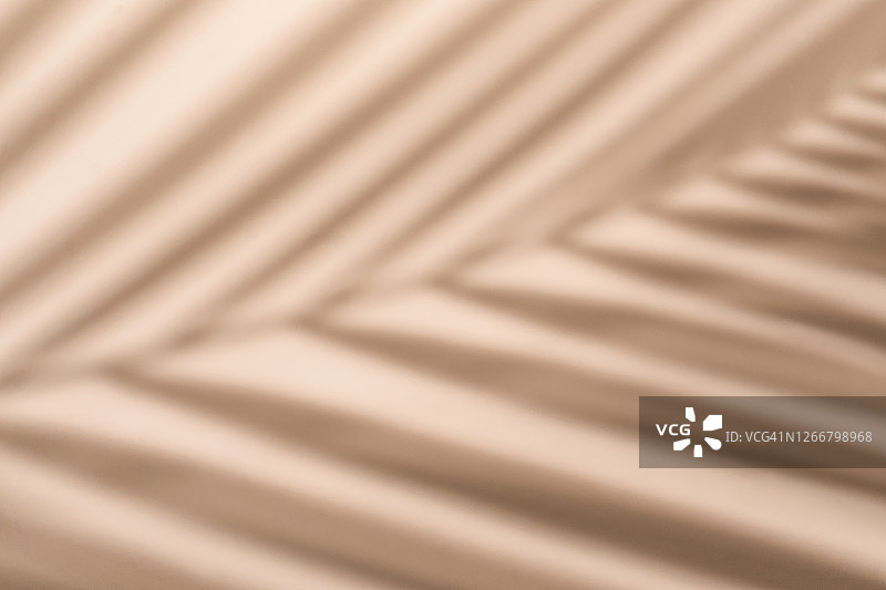 棕榈叶阴影墙柔和米色背景图片素材