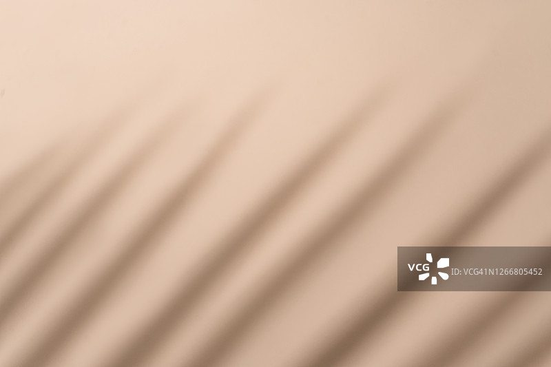 棕榈叶阴影墙柔和米色背景图片素材