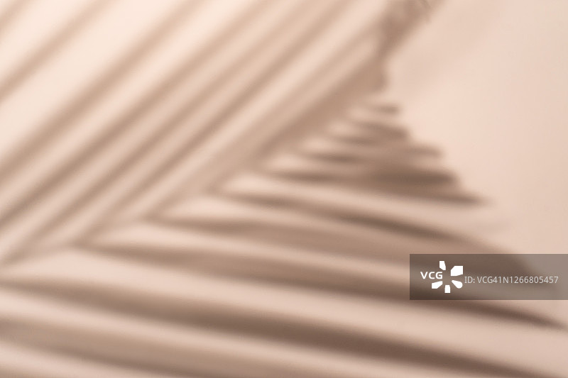 棕榈叶阴影墙柔和米色背景图片素材