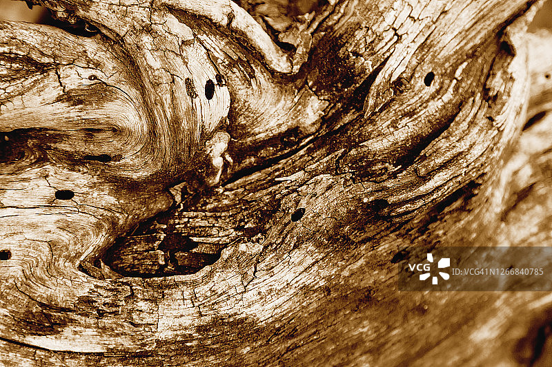 可可色调的天然木纹纹理图片素材