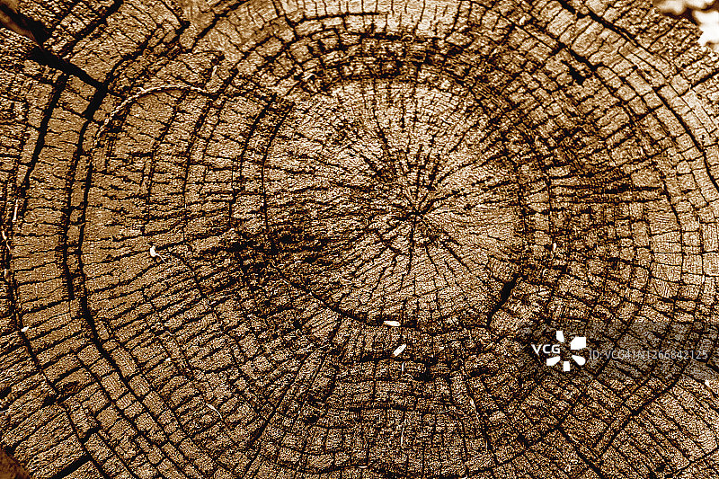 可可色调的天然木纹纹理图片素材