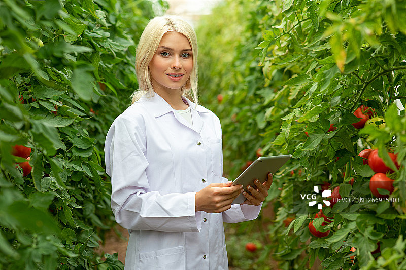 在绿色田野中工作的年轻漂亮女人图片素材