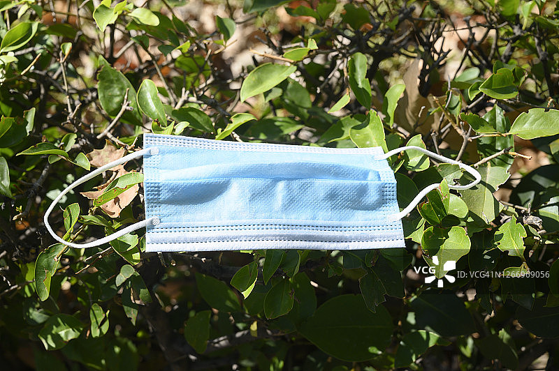 阳光下植物上的防护口罩图片素材